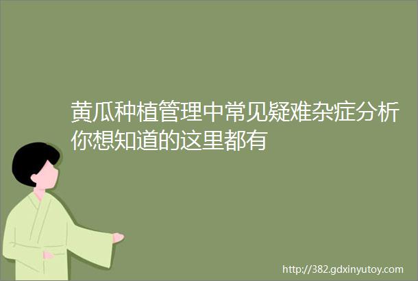 黄瓜种植管理中常见疑难杂症分析你想知道的这里都有