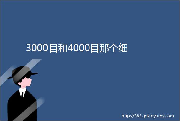 3000目和4000目那个细