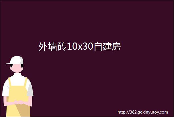 外墙砖10x30自建房