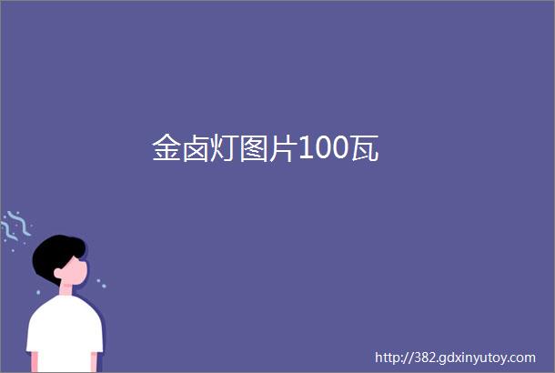 金卤灯图片100瓦