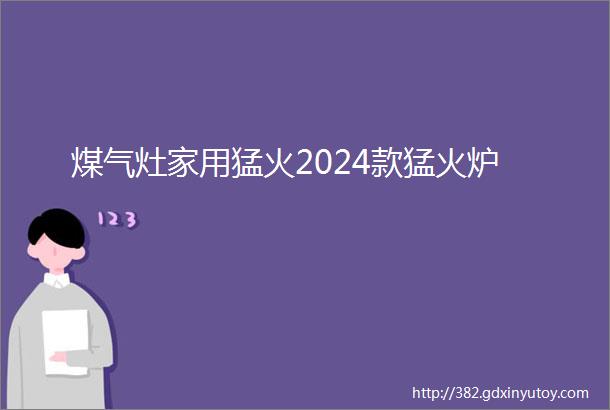 煤气灶家用猛火2024款猛火炉